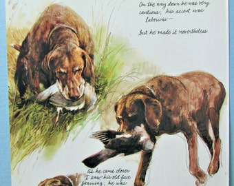 German Wirehaired Pointer Dog Art Print/ Hunting dog with hunter & prey, Wall Art Decor for framing/ 8 1/2 X 10 3/4"