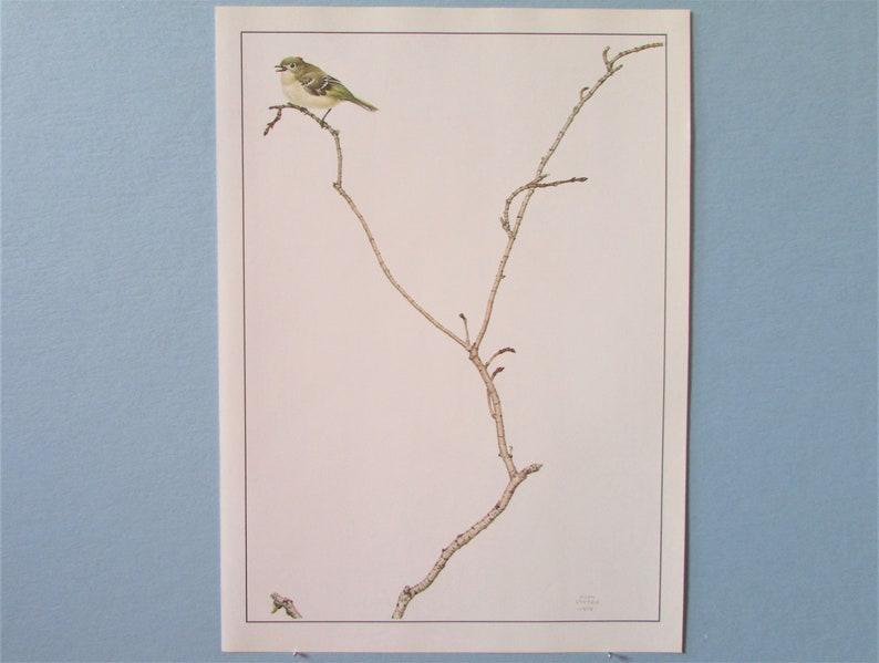 May include: A vintage print of a small, green and white bird perched on a bare branch with buds. The bird is facing to the right and the branch is in the centre of the image.