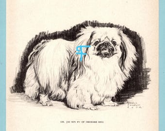 May include: A black and white charcoal-style illustration of a long-haired Pekingese dog standing in profile. The artwork features the signature Gladys Emerson Cook and the text CH. JAI SON FU OF ORCHARD HILL printed at the bottom of the page.
