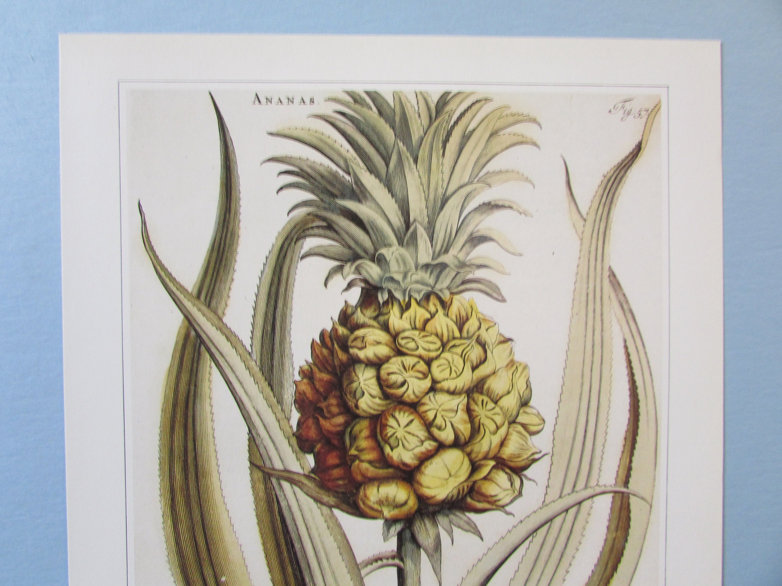 JKworks「パイナップル？」　アート作品 JKworks「パイナップル？」 アート作品 JKworks「パイナップル