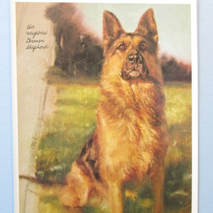 以下が含まれることがあります： フィールドに座っているジャーマンシェパードの犬の絵。犬は茶色と黒で、長くふわふわした毛皮をしています。犬は真剣な表情で視聴者を見上げています。絵の左上隅には「the neighbors' German Shepherd」というテキストが書かれています。