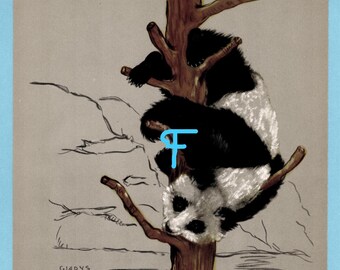Può includere: Illustrazione di un panda appeso a testa in giù a un ramo d'albero. Il panda ha una pelliccia bianca e nera su uno sfondo neutro. L'opera d'arte è firmata "Gladys Emerson".