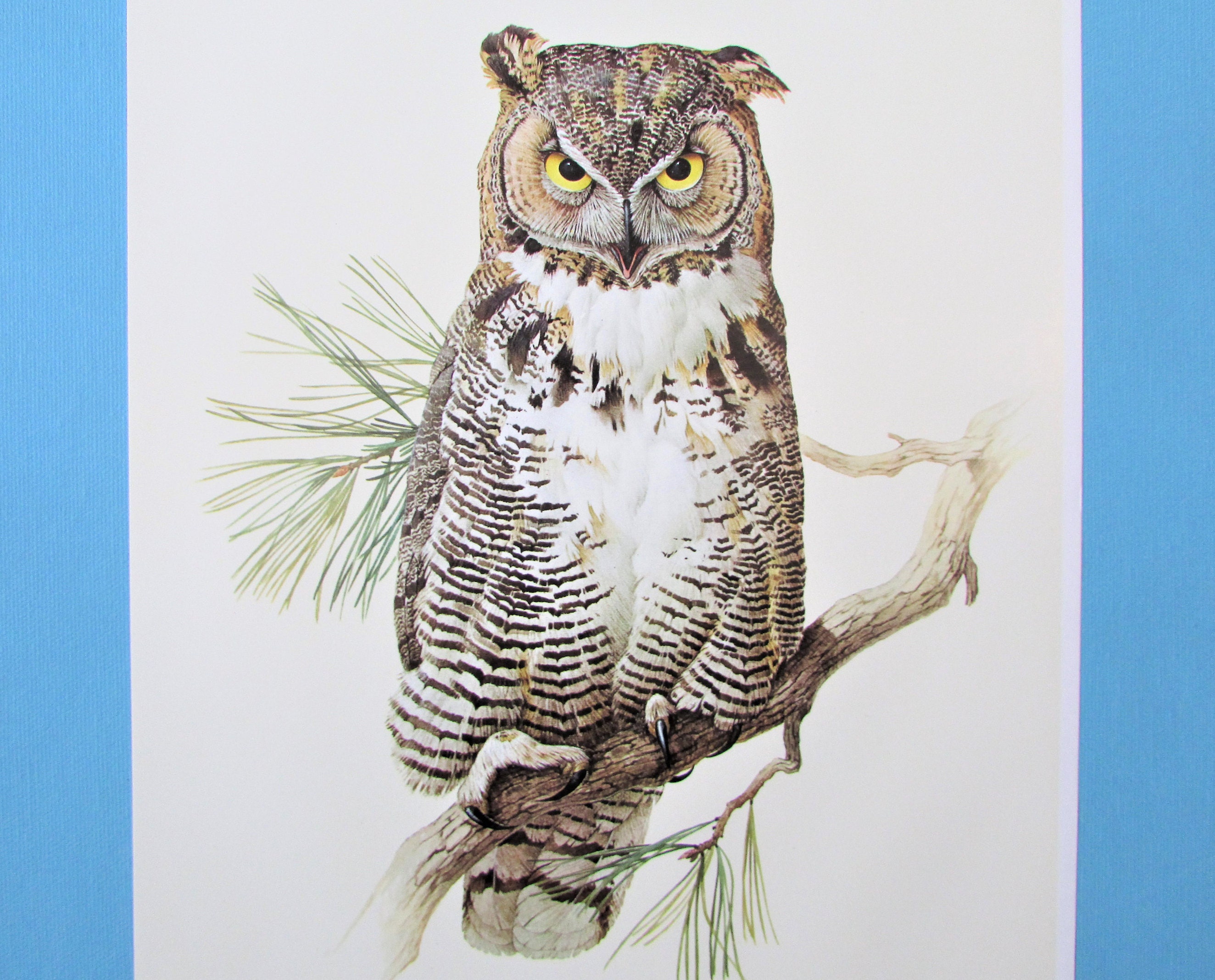 Great Horned Owl Print Book Plate/ 1960's Bird of Prey Etsy