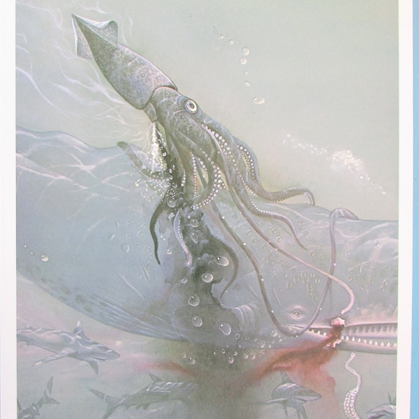 Squid Art - Etsy