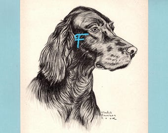 Irish Setter Dog Art Print by Gladys Emerson Cook/ 1945 Illustrated sporting dog Drawing, Wall Art Decor for framing/ 7 3/4" X 10 1/8"