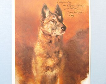 Belgian Malinois Dog Art Print/ Working, Police Dog also Belgian Shepherd, Book Plate, Wall Art Decor for framing/ 8 1/2 X 10 7/8"