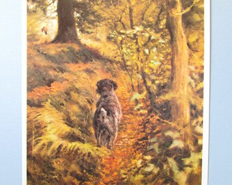 German Wirehaired Pointer Dog Art Print/ Hunters companion on the hunt Wall Art Decor for framing/ 8 1/2 X 10 7/8"