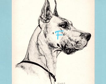 Great Dane Dog Art Print by Gladys Emerson Cook/ 1945 Illustrated working dog Drawing, Wall Art Decor for framing/ 7 3/4" X 10 1/8"