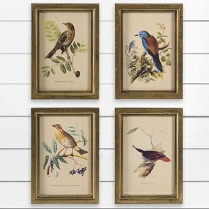 May include: Set of four framed bird illustrations. Each frame is gold and features a different bird species on a branch with leaves. The birds are depicted in a vintage style.