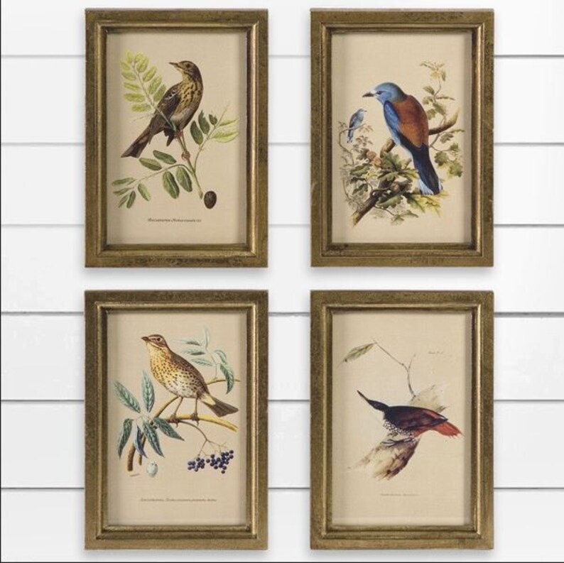 May include: Set of four framed bird illustrations. Each frame is gold and features a different bird species on a branch with leaves. The birds are depicted in a vintage style.