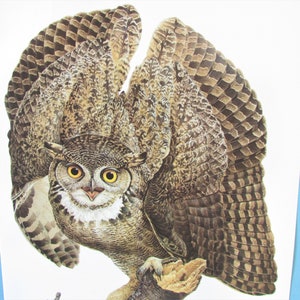 Great Horned Owl Bird Art Print, Book Plate/ 1970&#39;s Large Bird of Prey Book Page Color Plate by Lansdowne for framing/ 10 1/8 X 14 1/4&quot;