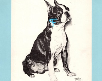 May include: A black and white ink drawing of a Boston Terrier sitting in profile, featuring a light blue letter F overlaid on the neck. The text CH. H.M.S. KIDDIE BOOTS SON appears at the bottom left, and Gladys Emerson Cook is signed at the bottom right.