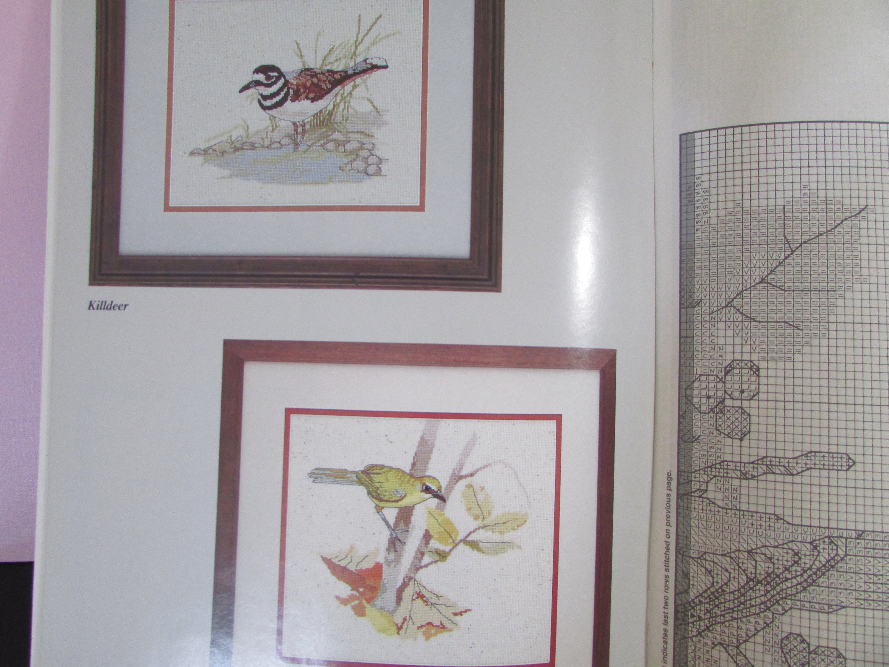 12 Bird Cross Stitch Sampler Patterns/ Birds of North America Book ...