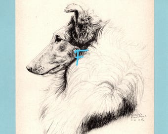 May include: A black and white charcoal drawing of a collie dog in profile, featuring detailed fur texture and a long snout. The artwork includes the signature Gladys Emerson Cook and a bright blue letter F superimposed over the dog's neck area.