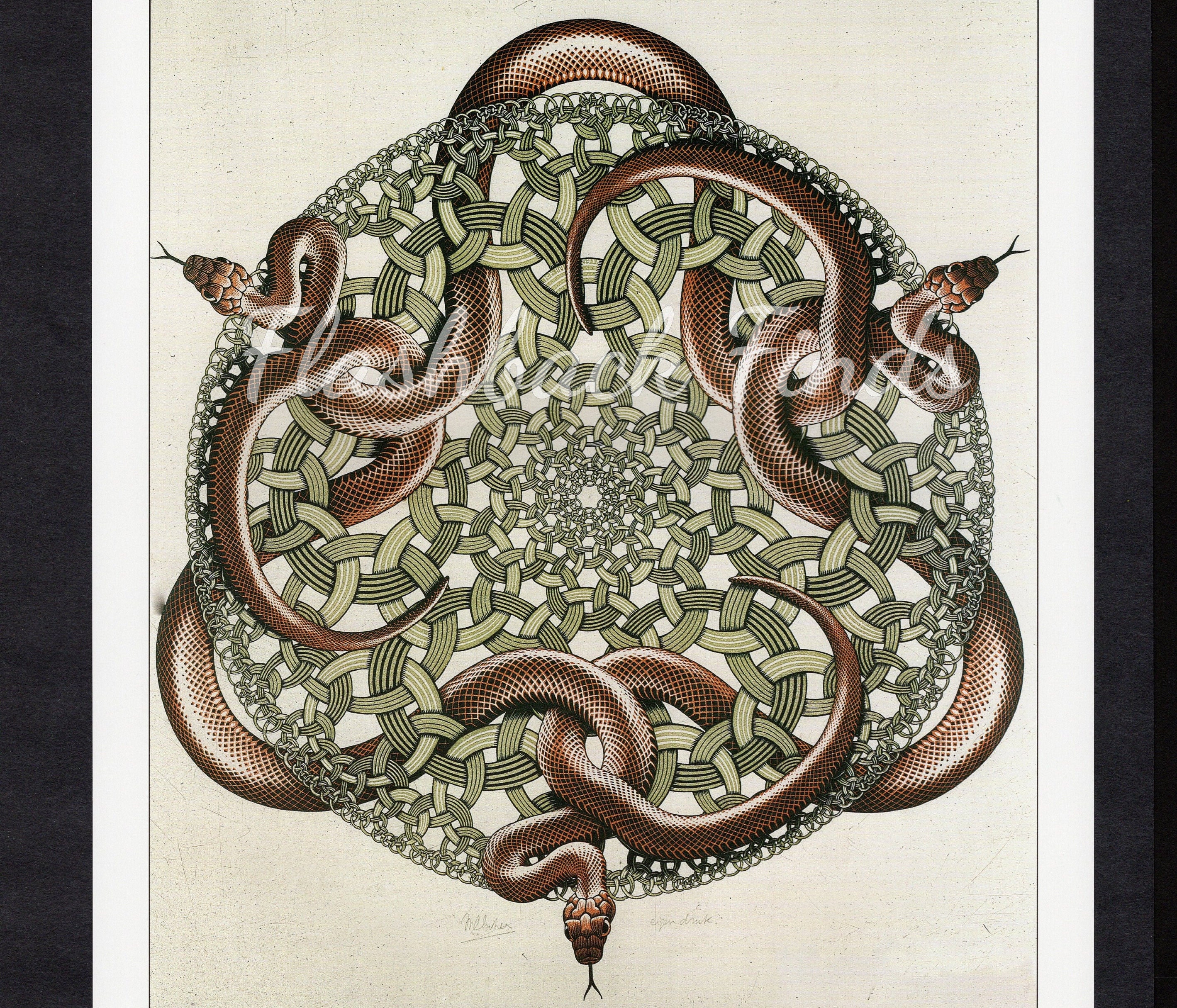 Escher Rettili colorato mosaico' Adesivo