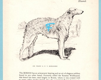 Borzoi Dog Art Print by Gladys Emerson Cook/ 1945 Illustrated hound dog Drawing, Wall Art Decor for framing/ 7 3/4" X 10 1/8"