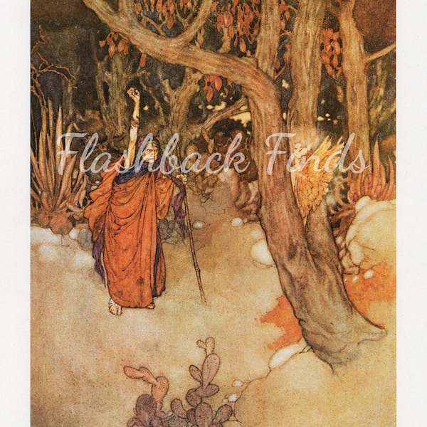 The Tempest Fantasy Art Print by Edmund Dulac/ Shakespeare's Comedy with Prospero & a Fairy Book Plate/ 8 1/2 X 11 1/4"