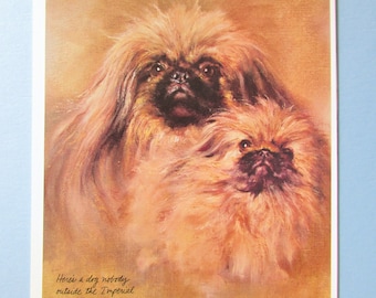 Impresión de arte de perro pekinés.  Raza de juguete, familia, perro de compañía, placa de libro, decoración de arte de pared para encuadre / 8 1/2 X 10 3/4 "