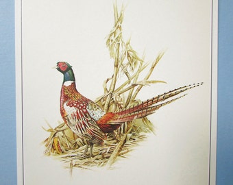 2 x A4 Set Set Pheasant Fight Watercolor Prints Wall Art Pictures Living Room 2 x A4 Set Set Pheasant Fight Watercolor Prints Wall Art Pictures Living Room