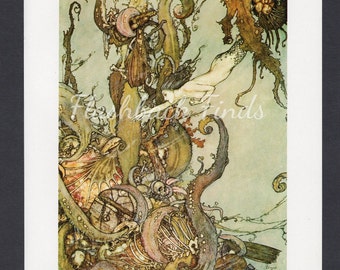 The Little Mermaid Fantasy Art Print by Edmund Dulac/ Children's Hans Christian Andersen Mermaid King Fairy Tale Book Plate/ 8 1/2 X 11"