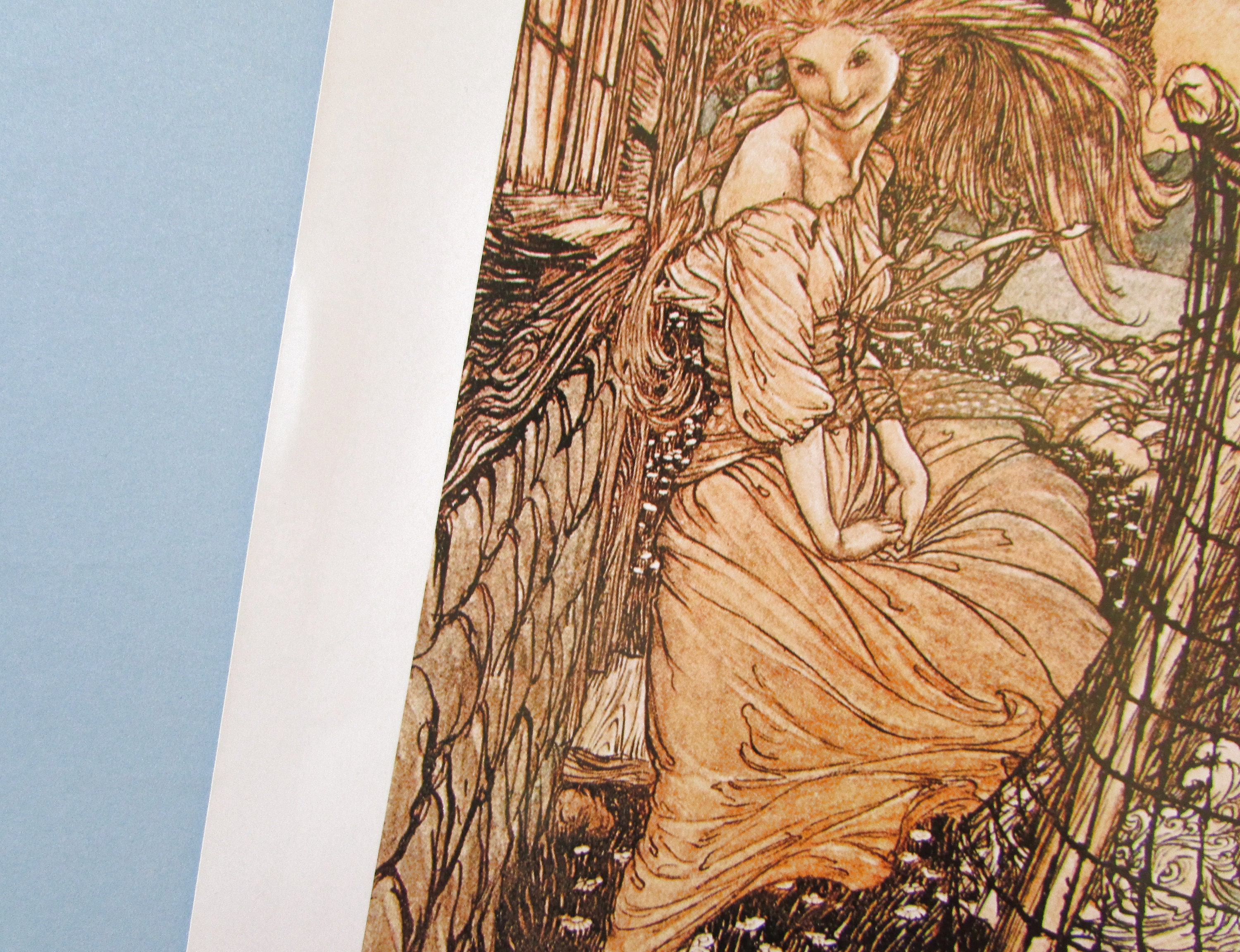 Undine Fairytale Fantasy Art Print by Arthur Rackham/ | Etsy