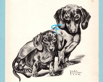 May include: A black and white ink drawing of two dachshund dogs, one sitting and one standing, with a blue letter F mark near the standing dog's head and the signature Gladys Emerson Cook printed in the bottom right corner of the illustration.