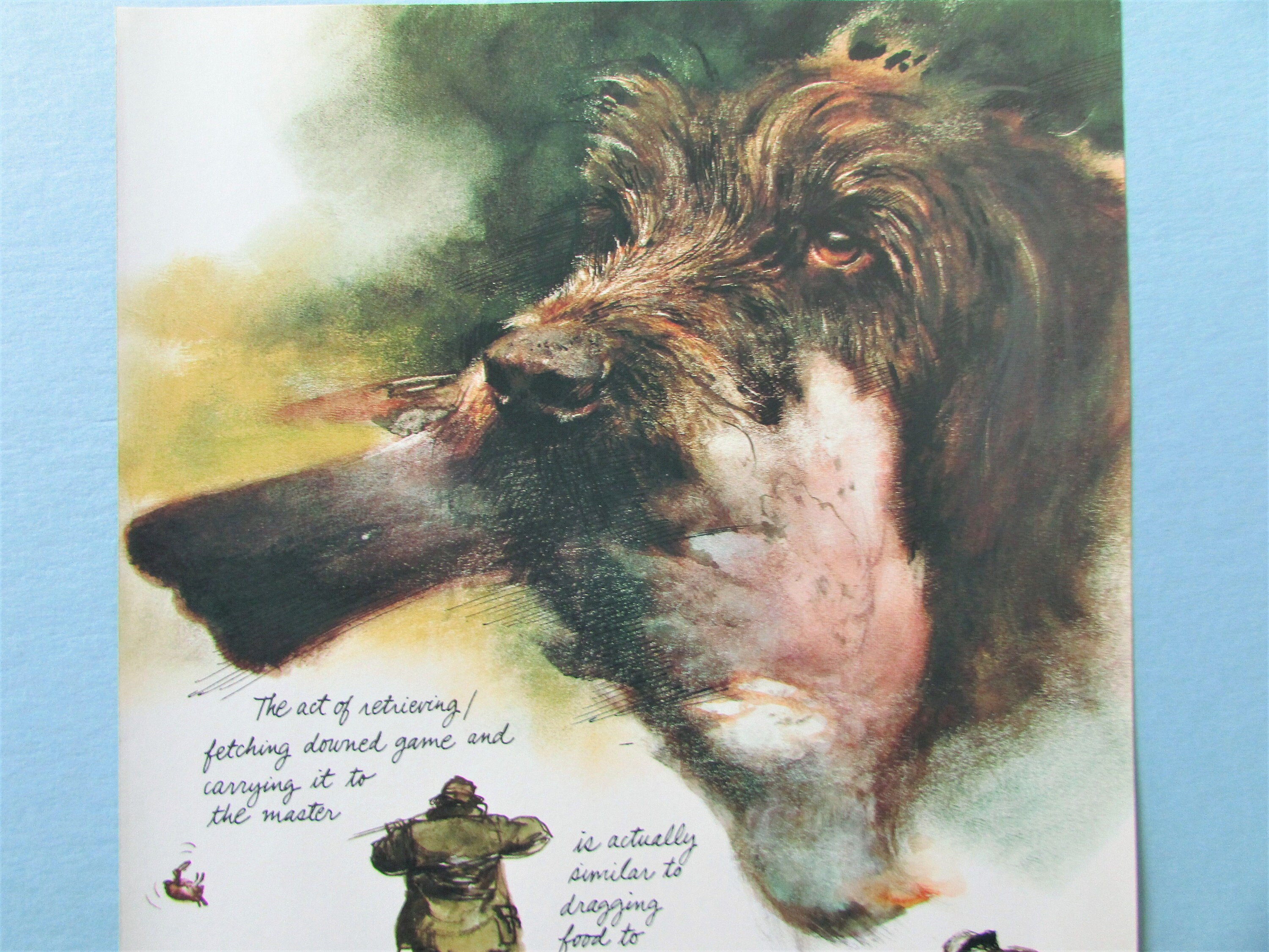 Rien Poortvliet Dog - Etsy