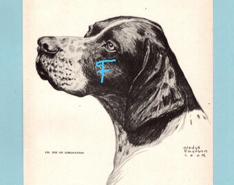 May include: A black and white charcoal drawing of a dog in profile, featuring a light blue letter F superimposed on the cheek. The text CH. HIE ON CORONATION appears on the left, and the artist signature Gladys Emerson Cook is on the bottom right.