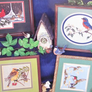 Goldfinch, BlueBird Bird Cross Stitch Pattern Book/  Cedar Waxwing, Hummingbird, Woodpecker counted cross stitch chart picture