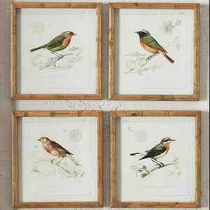 May include: Four framed prints of birds, each featuring a different species. The frames are made from natural bamboo and have a light brown colour. The prints are on white paper with a light brown background. The birds are depicted in a realistic style with detailed feathers and beaks.