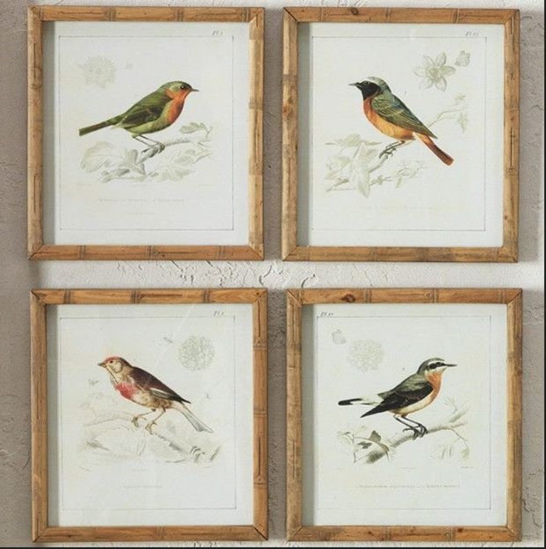 May include: Four framed prints of birds, each featuring a different species. The frames are made from natural bamboo and have a light brown colour. The prints are on white paper with a light brown background. The birds are depicted in a realistic style with detailed feathers and beaks.