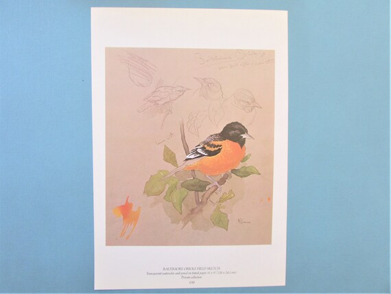 イースタン・メドウラーク鳥アートプリント、ブックプレート/ 1970