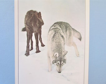 Timber Wolf Animal Art Print, Book Plate/ Large Northern Wild Animal Book Page Color Plate by Glen Loates for framing/ 9 1/2 X 13 1/4