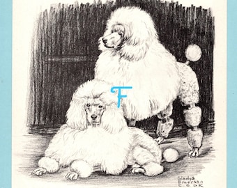 Standard Poodle Dog Art Print by Gladys Emerson Cook/ 1945 Illustrated dog Drawing, Wall Art Decor for framing/ 7 3/4" X 10 1/8"