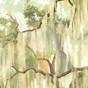 Live Oak Canopy Art, Spanish Moss, Louisiana Home Decor, Home Warming Gift