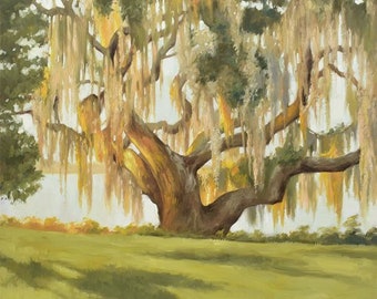 Audubon Park Live Oak Trees, NOLA Art Gift, New Orleans Painting, Spanish Moss Painting