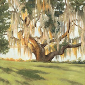 Audubon Park Live Oak Trees, NOLA Art Gift, New Orleans Painting, Spanish Moss Painting