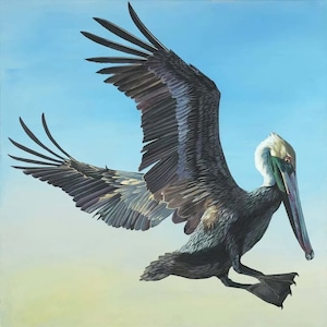 Louisiana Pelican Art, Southern Decor, Pelican in Flight Art Print