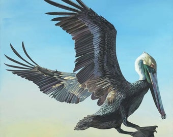 Louisiana Pelican Art, Southern Decor, Pelican in Flight Art Print