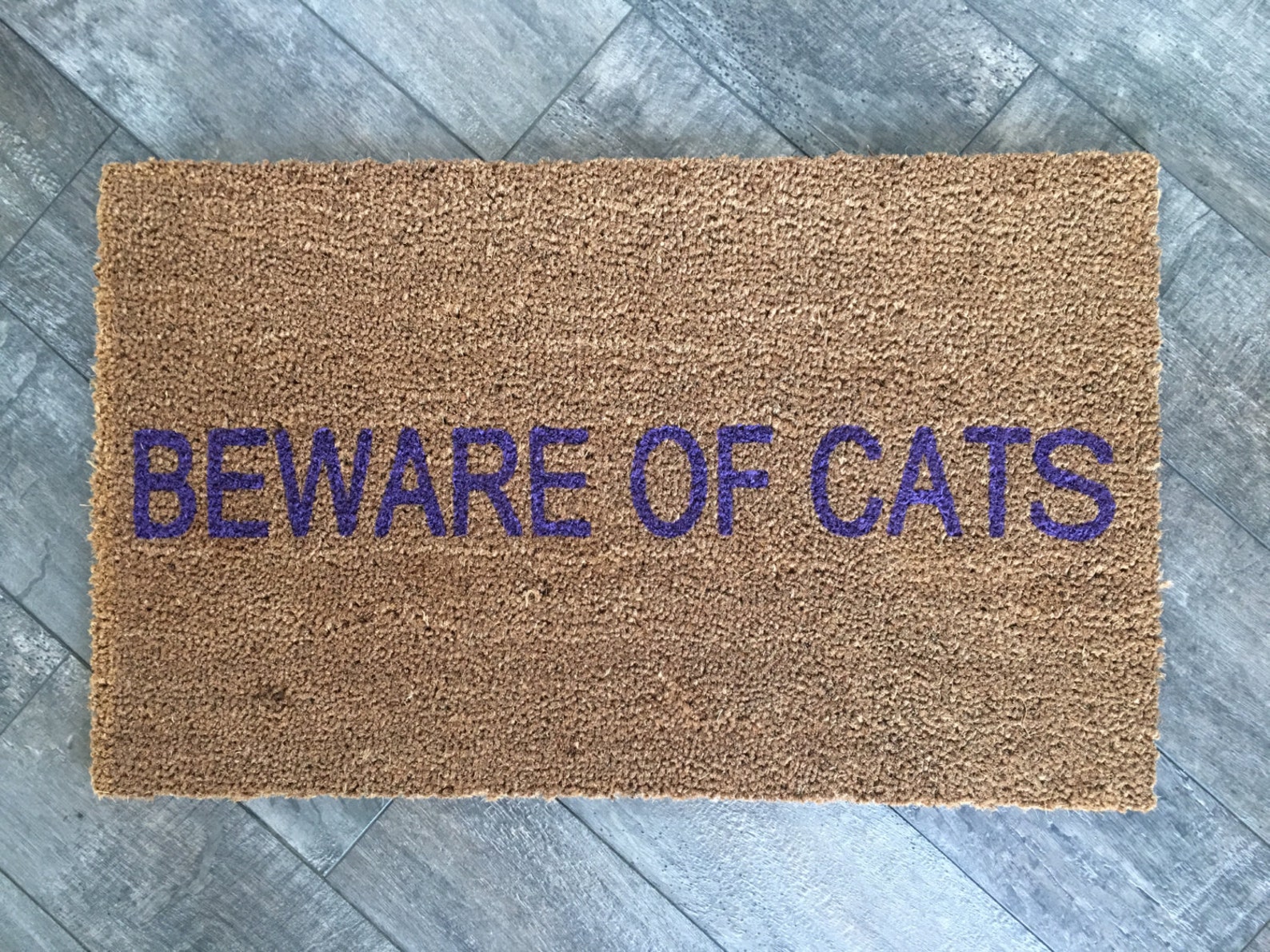 Beware Of Cat Doormat / Funny Animal Door Mat / Housewarming Etsy