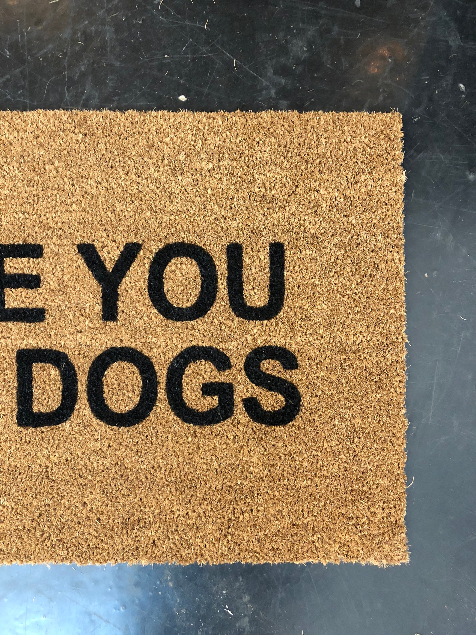 Dog Doormat Funny Dog Door Mat Cat Mat Rude Etsy