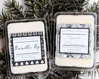 Autumn and Winter Soy Wax Melts | Christmas Scents Wax Melts | Fall Scent Scented Wax Melts | Wax Melt Gift Set | Gift Idea | Soy Wart Tarts