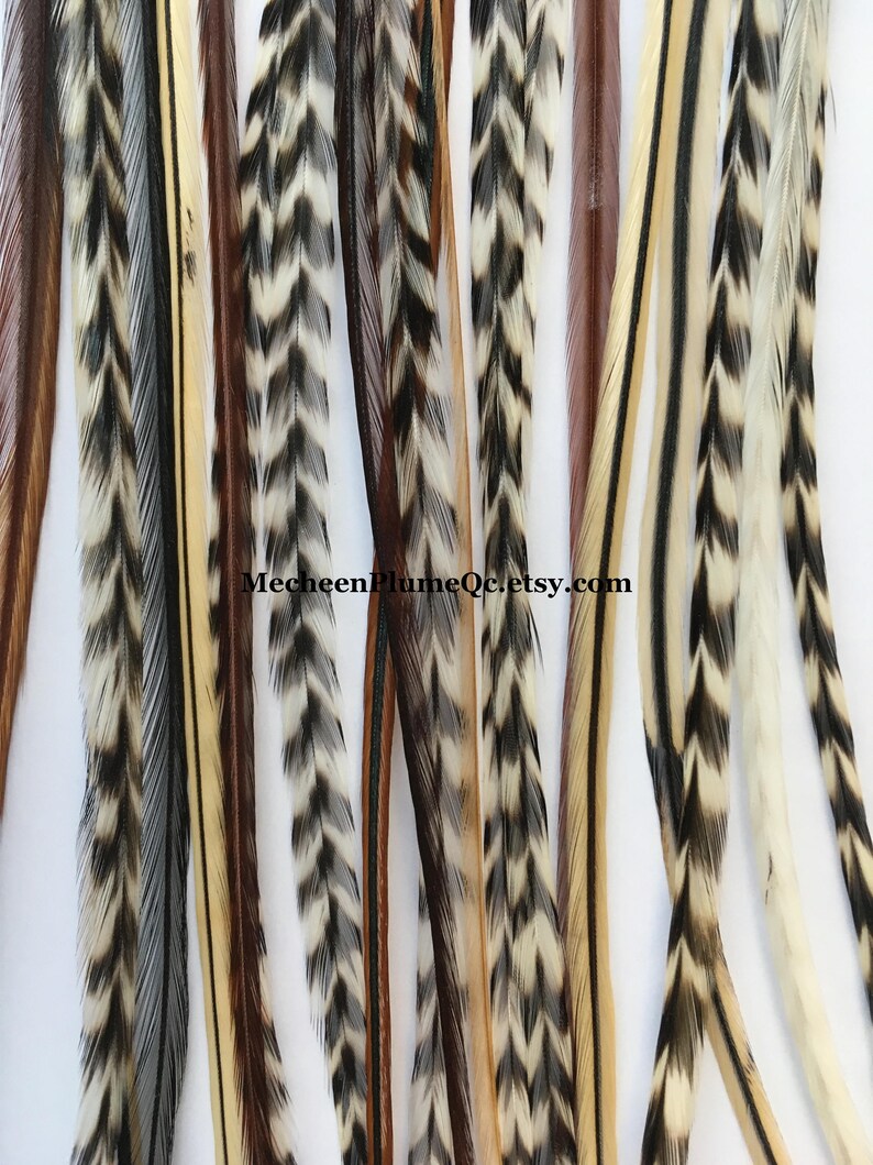 SHORT Feather extensions bonded / Natural Hair Feathers / DIY Etsy