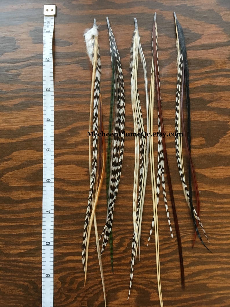 SHORT Feather extensions bonded / Natural Hair Feathers / DIY Etsy