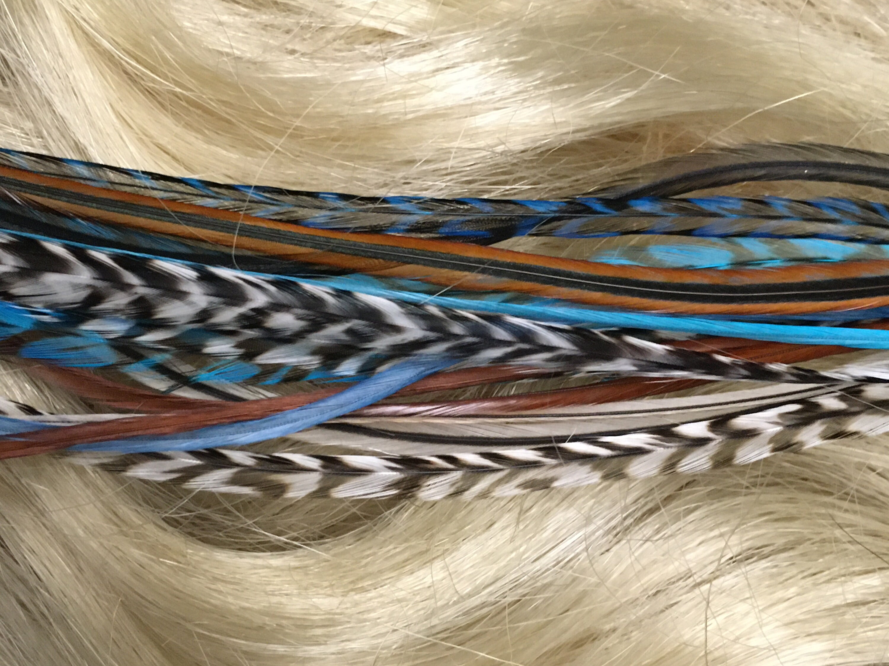 Kit 15 FederErweiterungen Haar gefärbt Turquoise blau und Etsy