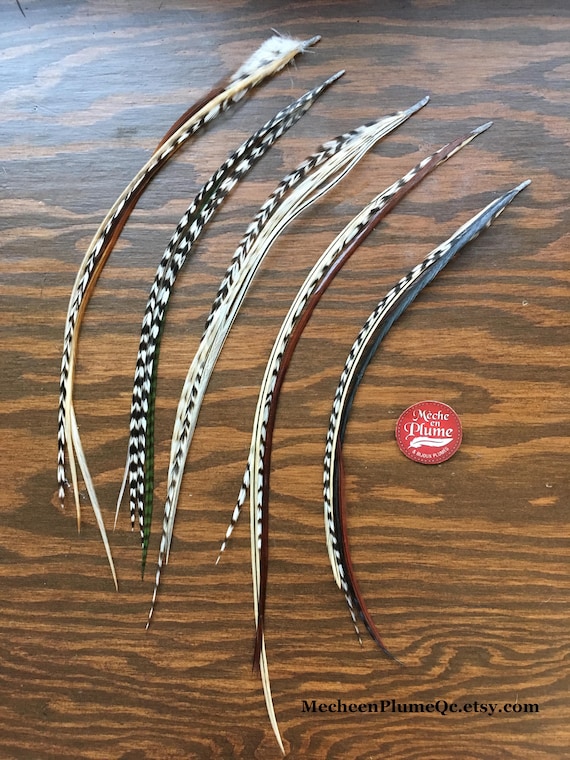 Short Feather Extensions Bonded Natural Hair Feathers Diy Accessory Micro Bead 5 Kit