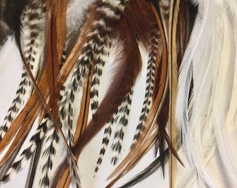 50 short + wide natural feathers all natural colours mix good for feather earrings and accessory or Fly tying feathers