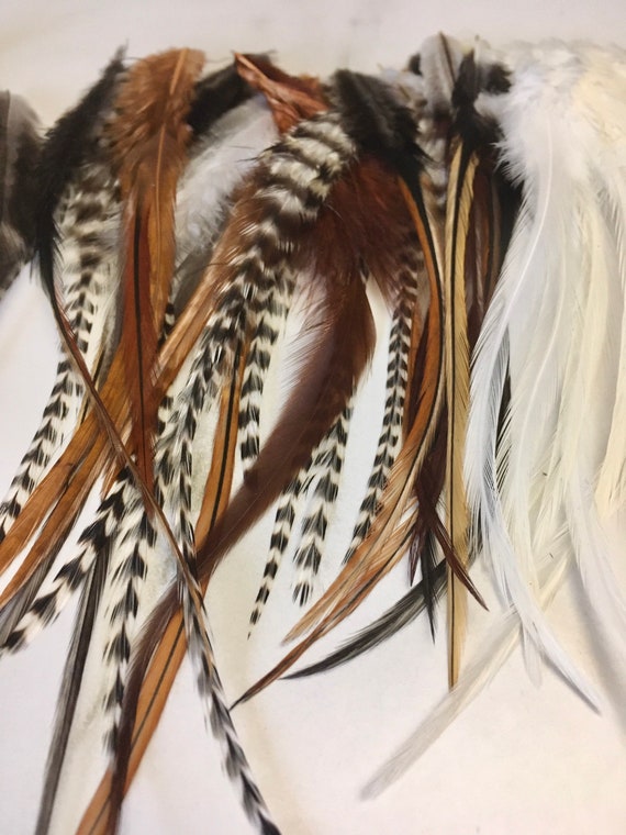 50 Short Wide Natural Feathers All Natural Colours Mix Good for Feather  Earrings and Accessory or Fly Tying Feathers 