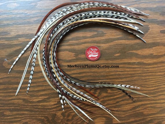 Long Feather Extensions Bonded Natural Hair Feathers Diy Etsy
