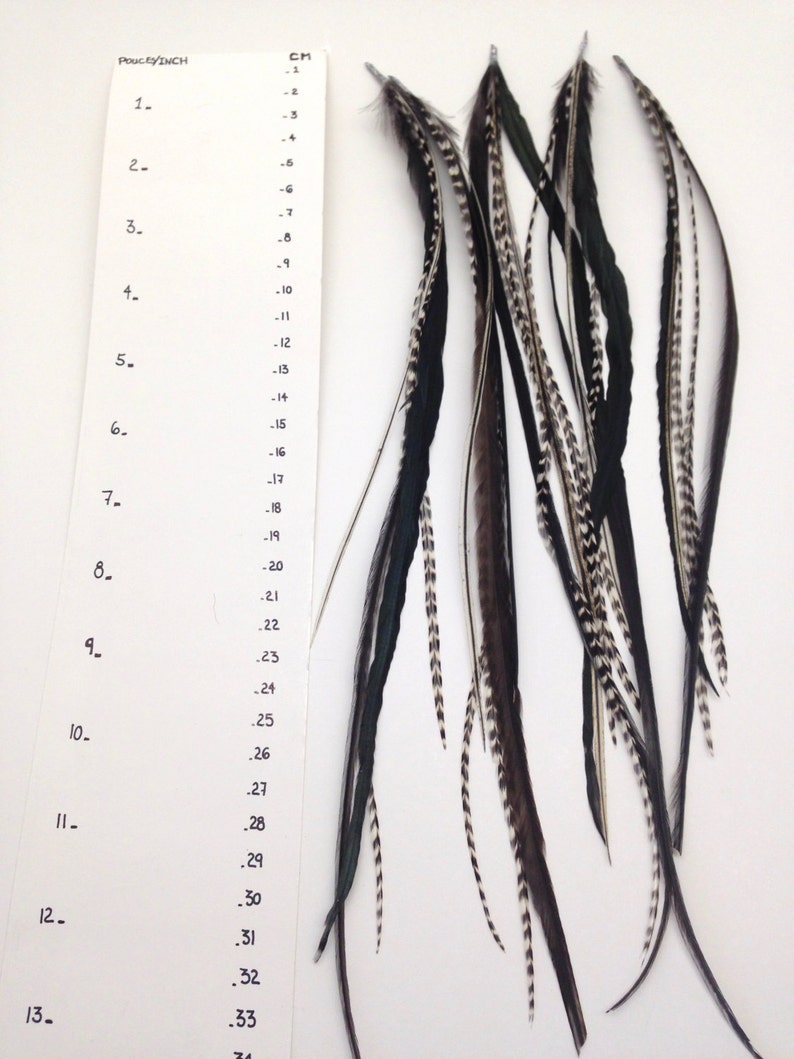 Hair Feather Extension 8'12' / 5 Feathers Bonded Etsy
